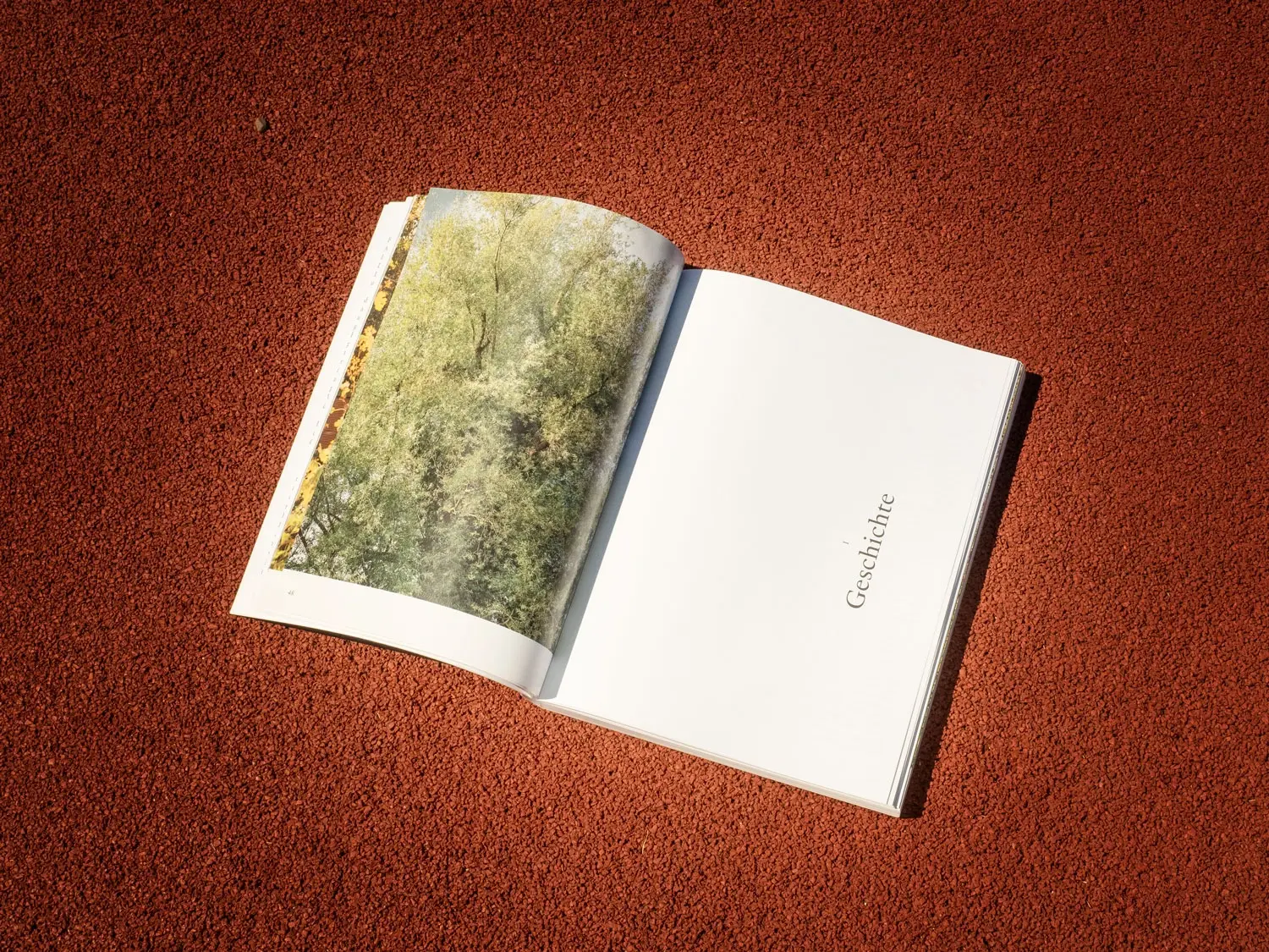 Studio Nomad, Editorial Design for Hochparterre and OST, Geschichte