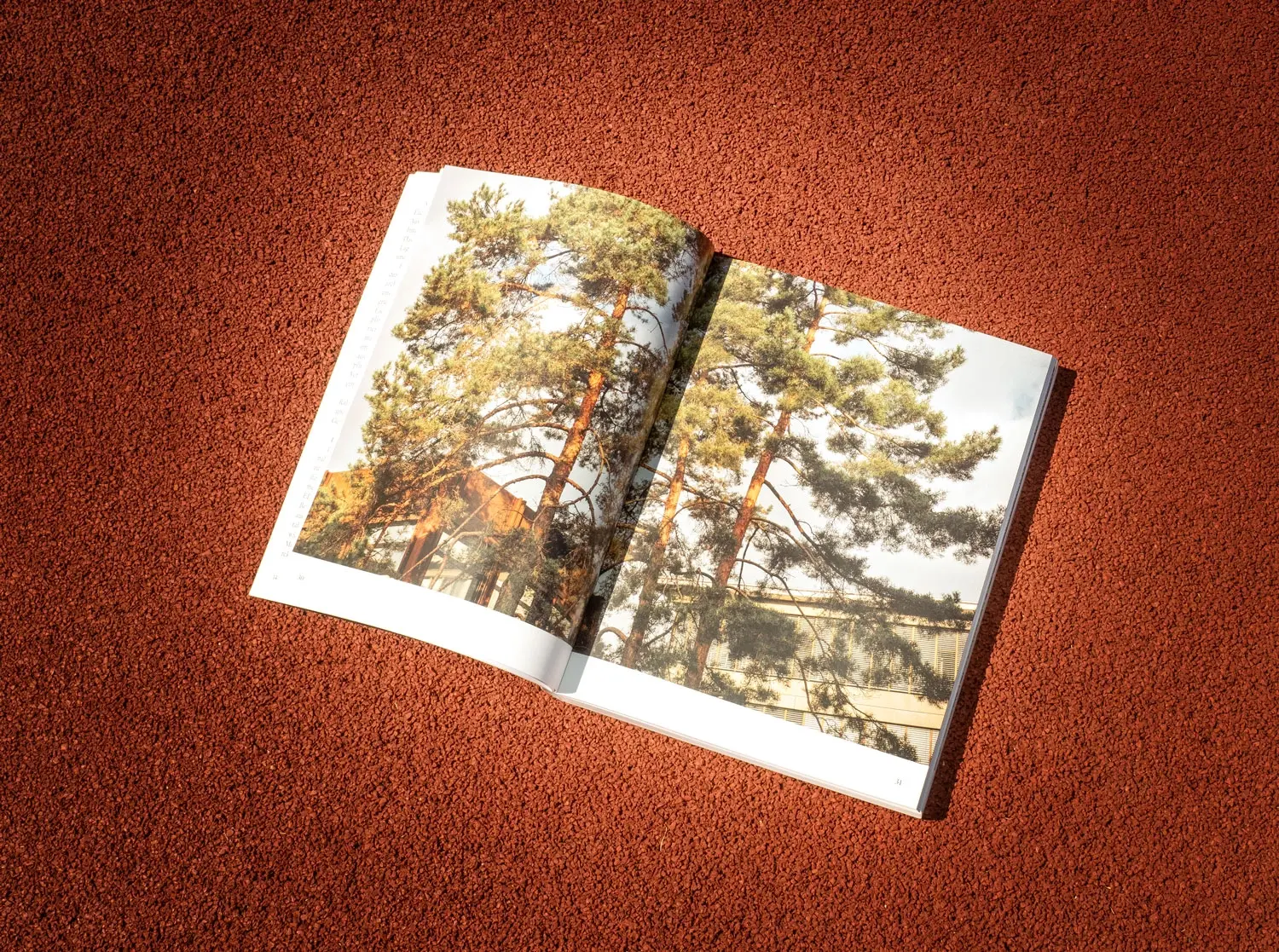 Studio Nomad, Editorial Design for Hochparterre and OST, Fabian Hugo