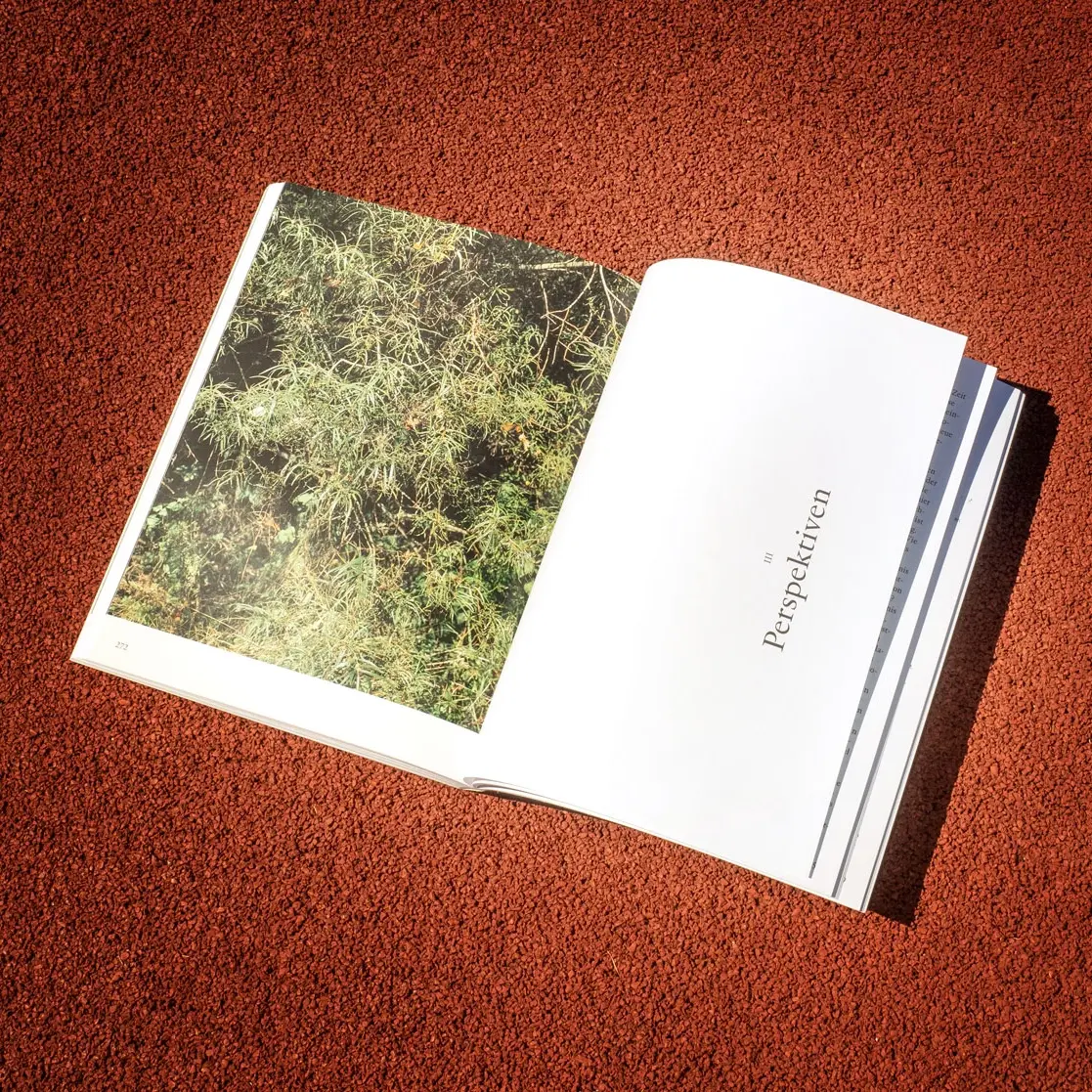 Studio Nomad, Editorial Design for Hochparterre and OST, Perspektiven