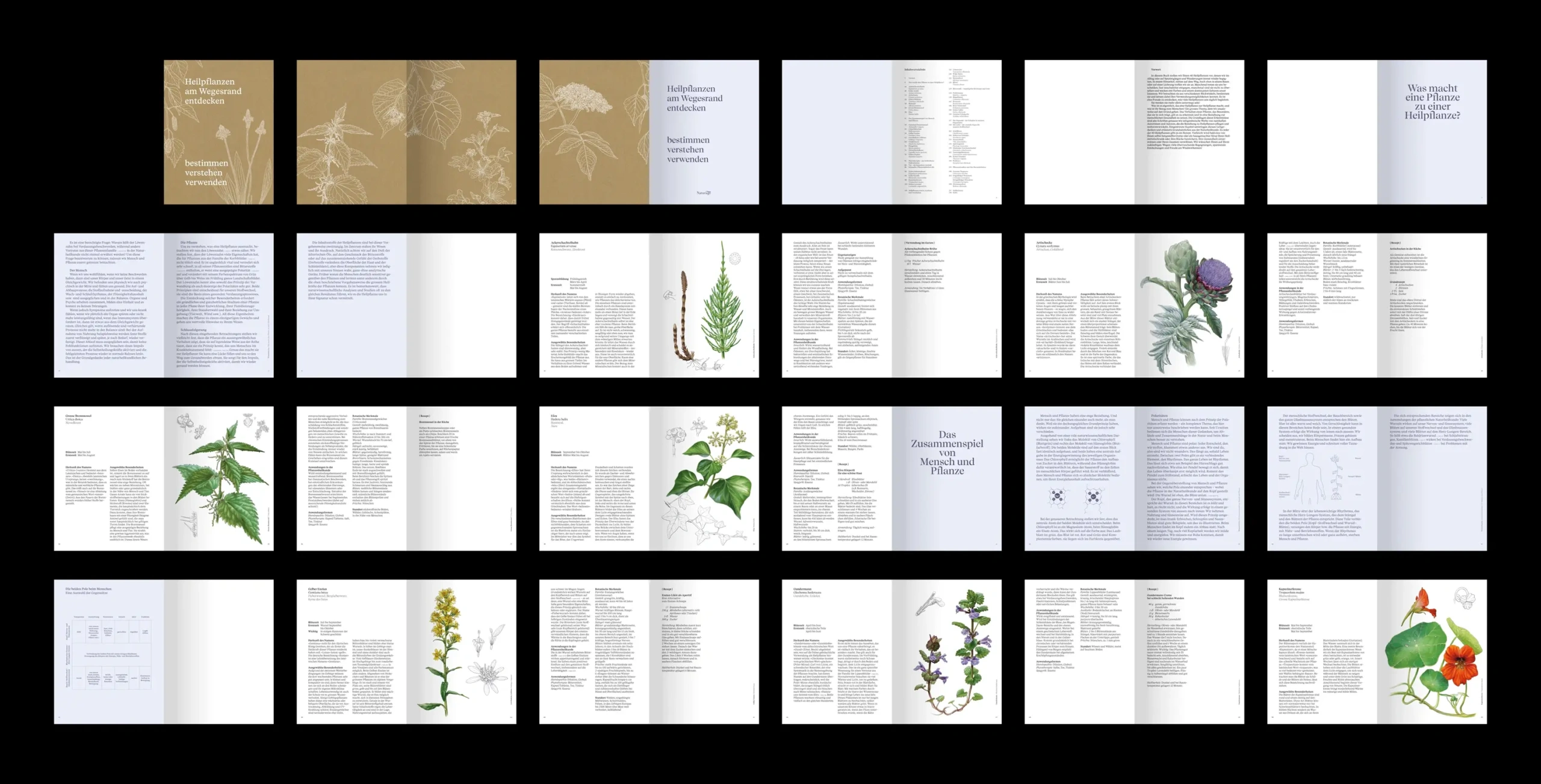 Naturage Book by Studio Nomad, Editorial Design overview pages