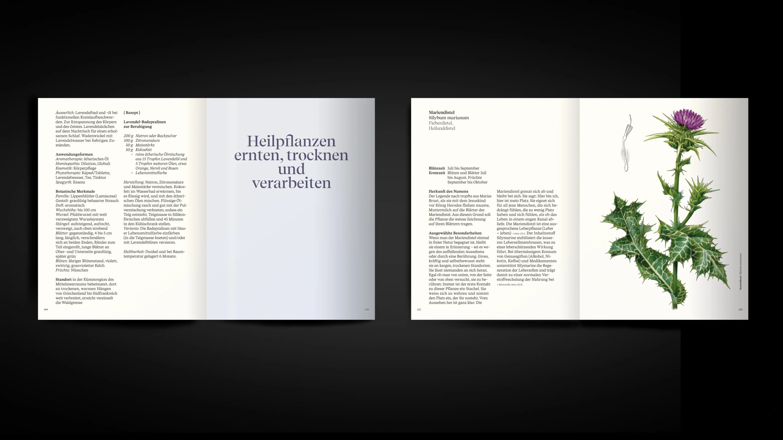 StudioNomad_Publikation_Naturage_Doppelseiten